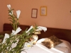Albergo del Cacciatore - Foggia